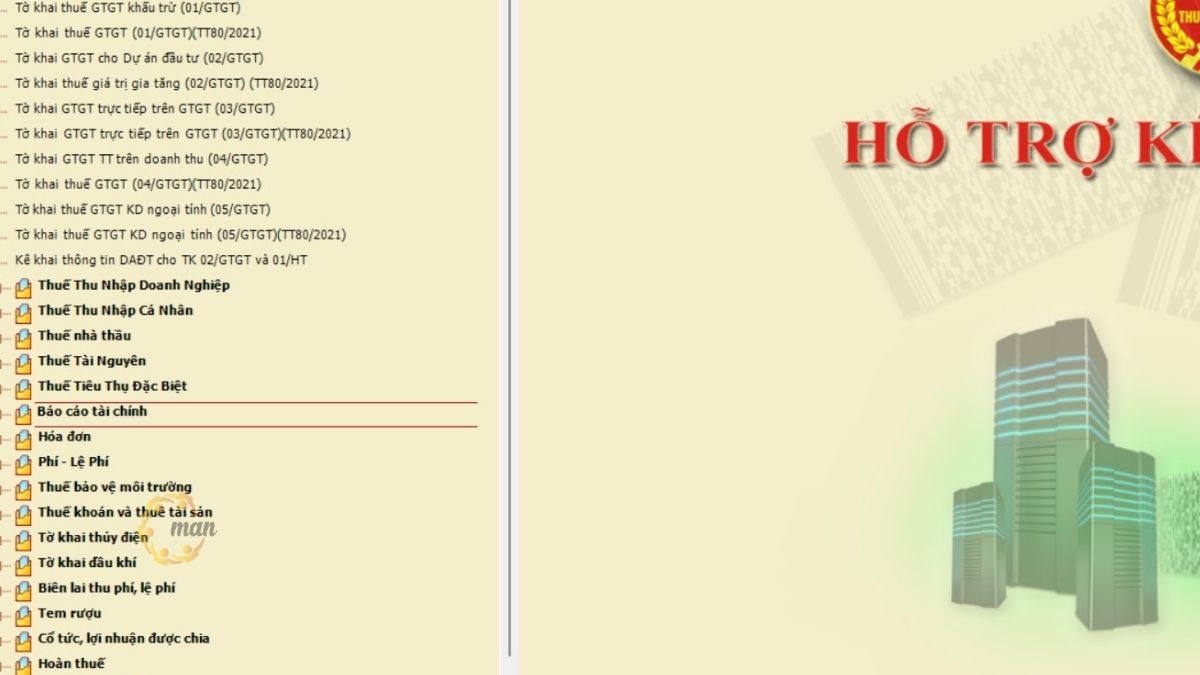 Chọn mục Báo cáo tài chính