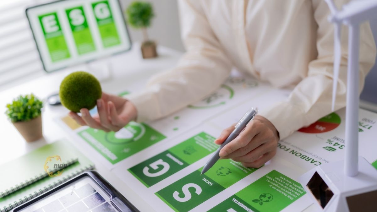 Cập nhật Công văn 319 điểm mới thuế TNDN áp dụng kỳ tính thuế 2025 về chuyển đổi xanh