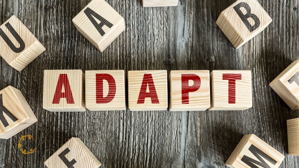 Doanh nghiệp cần thích ứng với thay đổi về vấn đề doanh nghiệp còn được nộp tạm báo cáo tài chính không